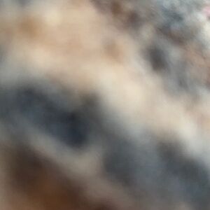 Meet your Posher, Cami